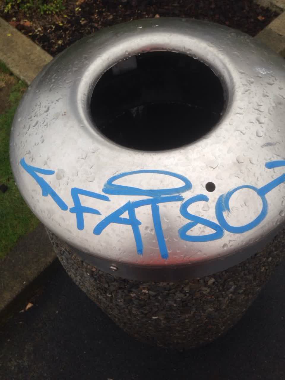 The photograph attached to this graffiti report