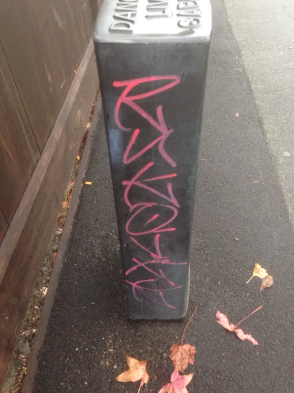 The photograph attached to this graffiti report