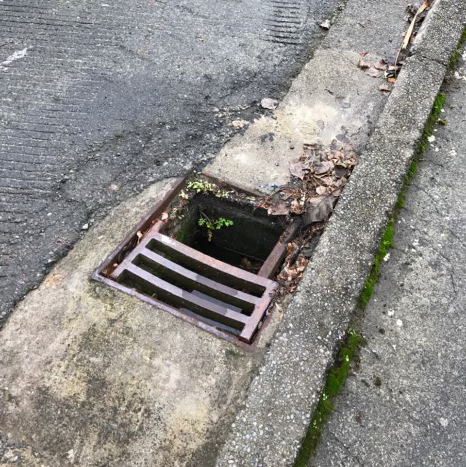 The photograph attached to this roading/streets report
