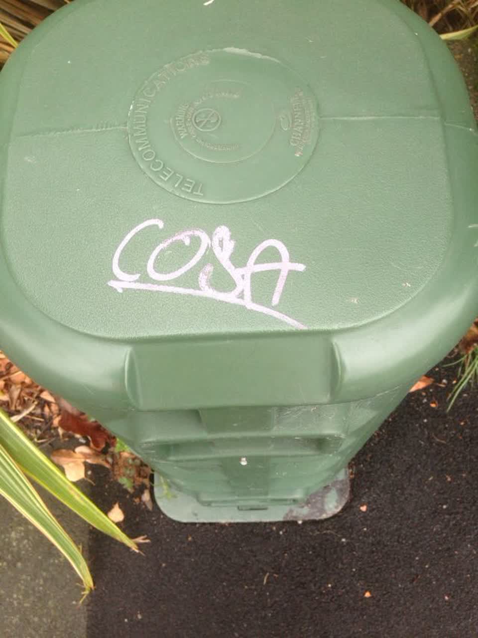 The photograph attached to this graffiti report