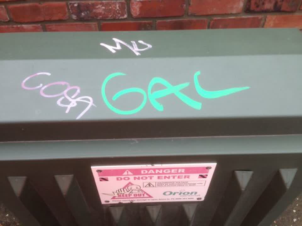 The photograph attached to this graffiti report