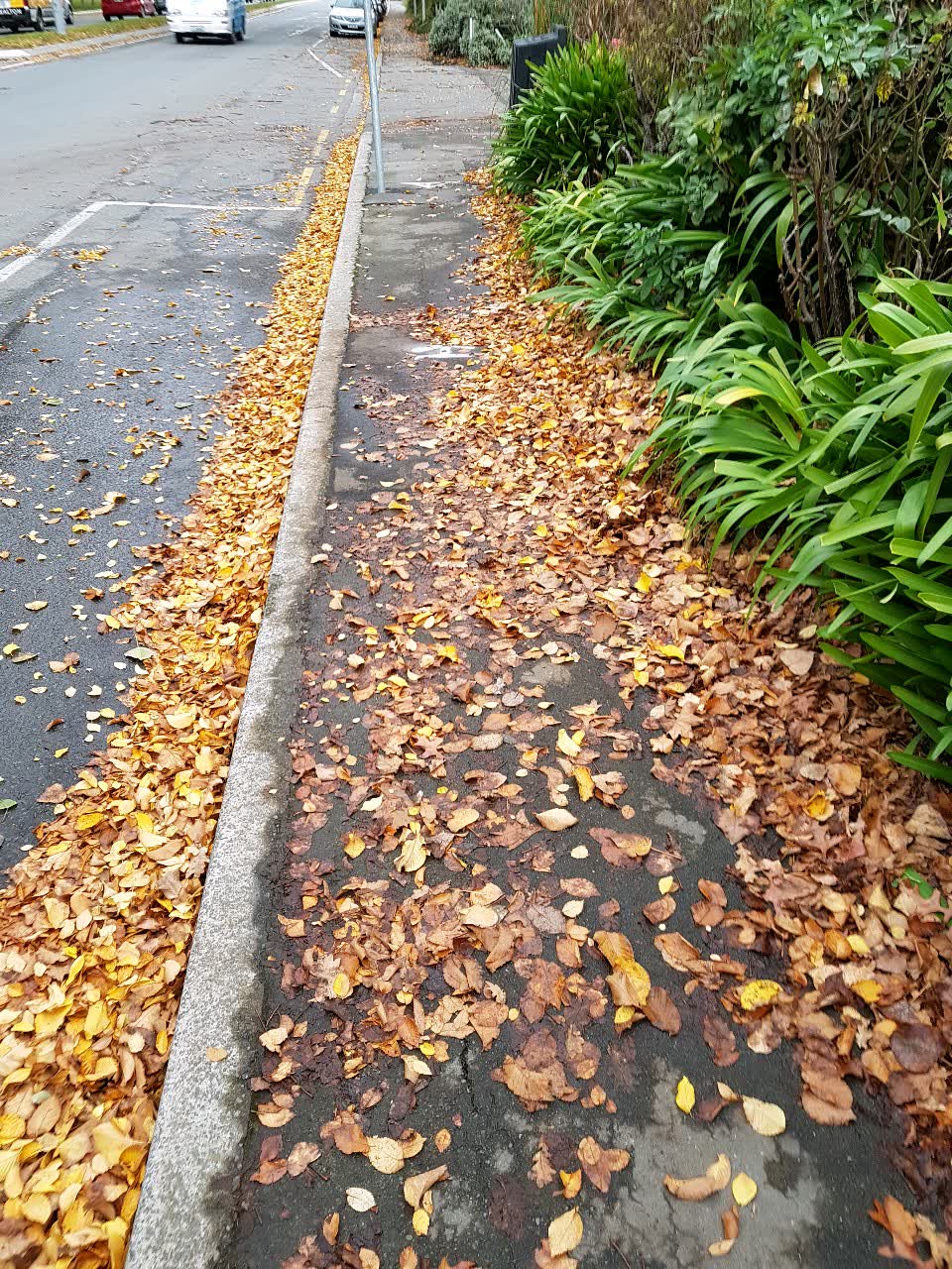 The photograph attached to this roading/streets report