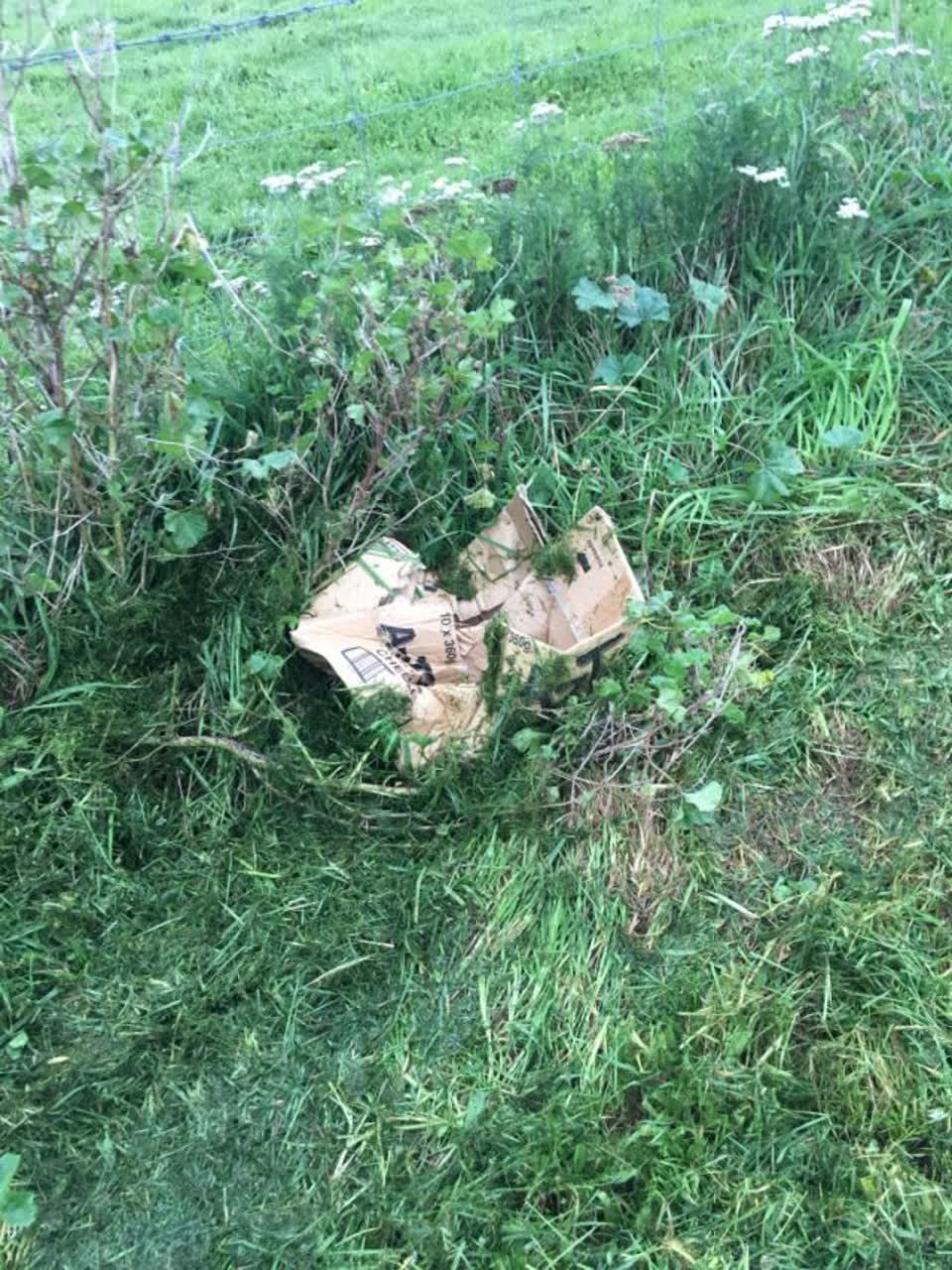 The photograph attached to this rubbish/recycling report