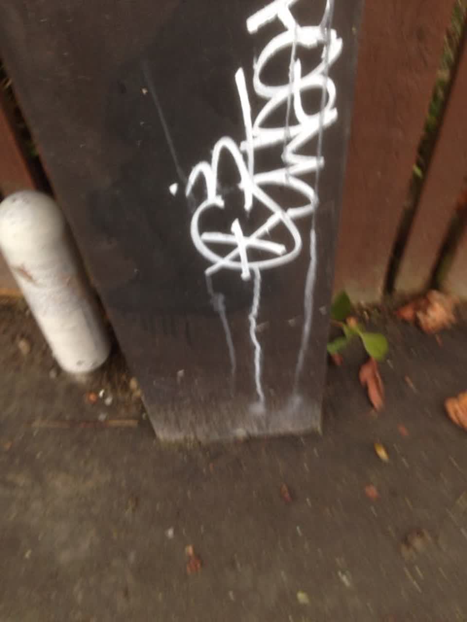 The photograph attached to this graffiti report