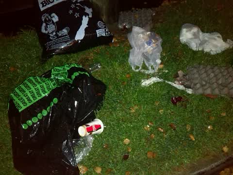 Rubbish/Recycling — a report photo