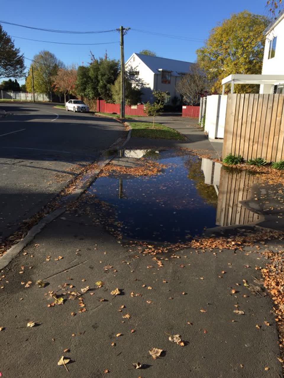 The photograph attached to this roading/streets report