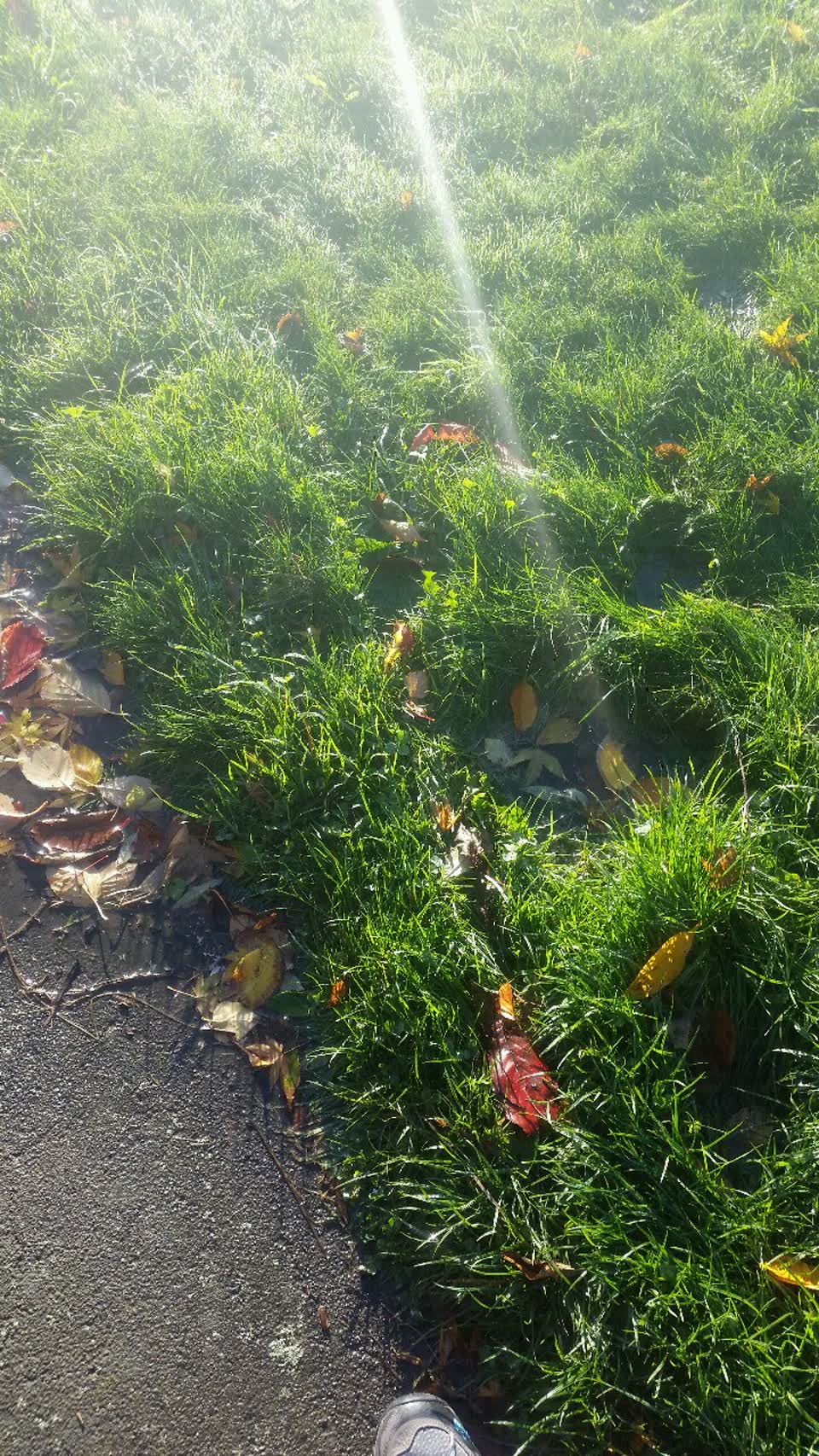 The photograph attached to this water supply report