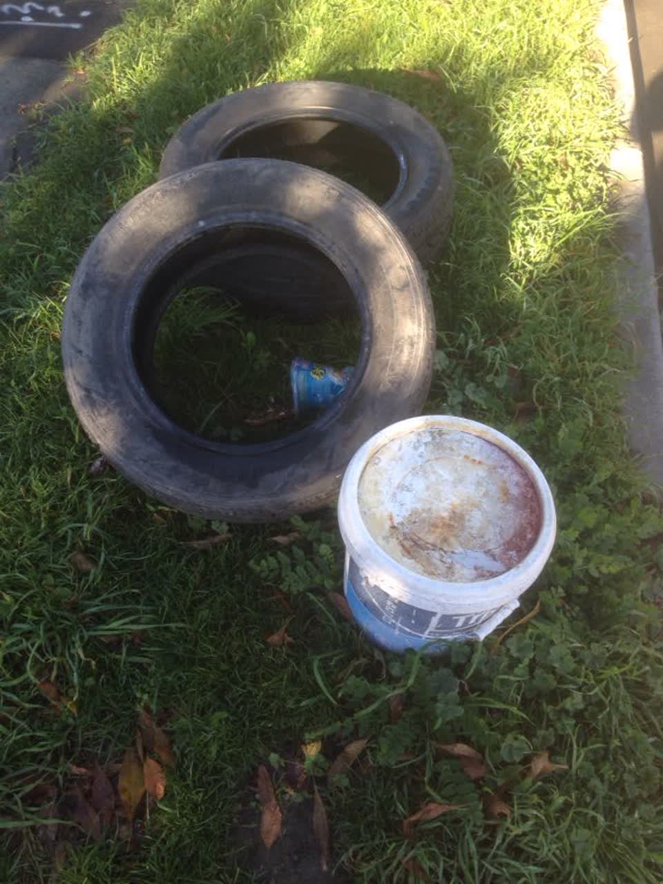 The photograph attached to this rubbish/recycling report