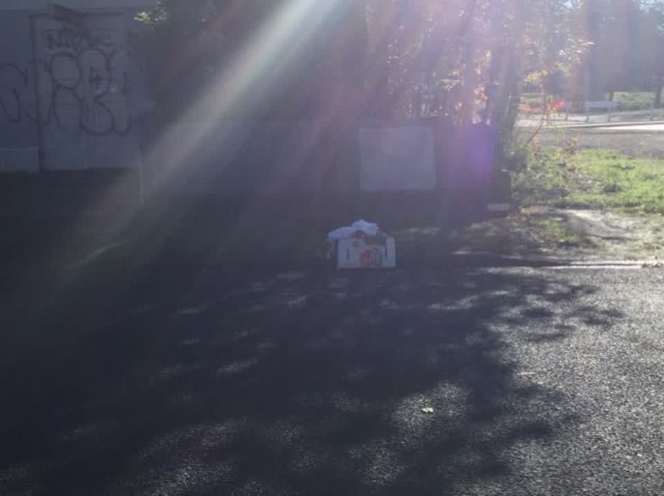 The photograph attached to this rubbish/recycling report