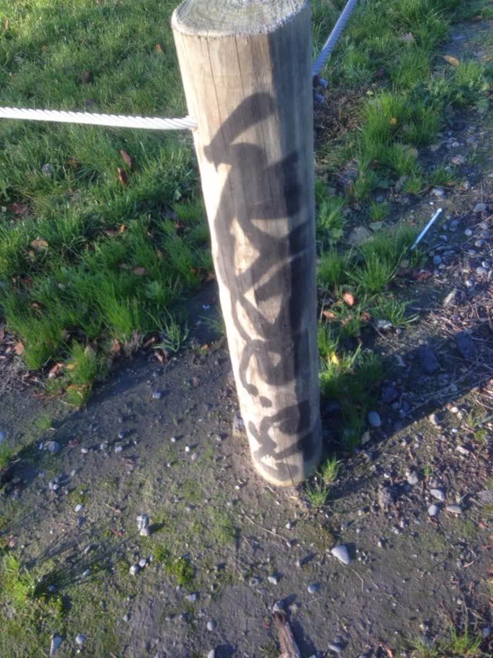 The photograph attached to this graffiti report