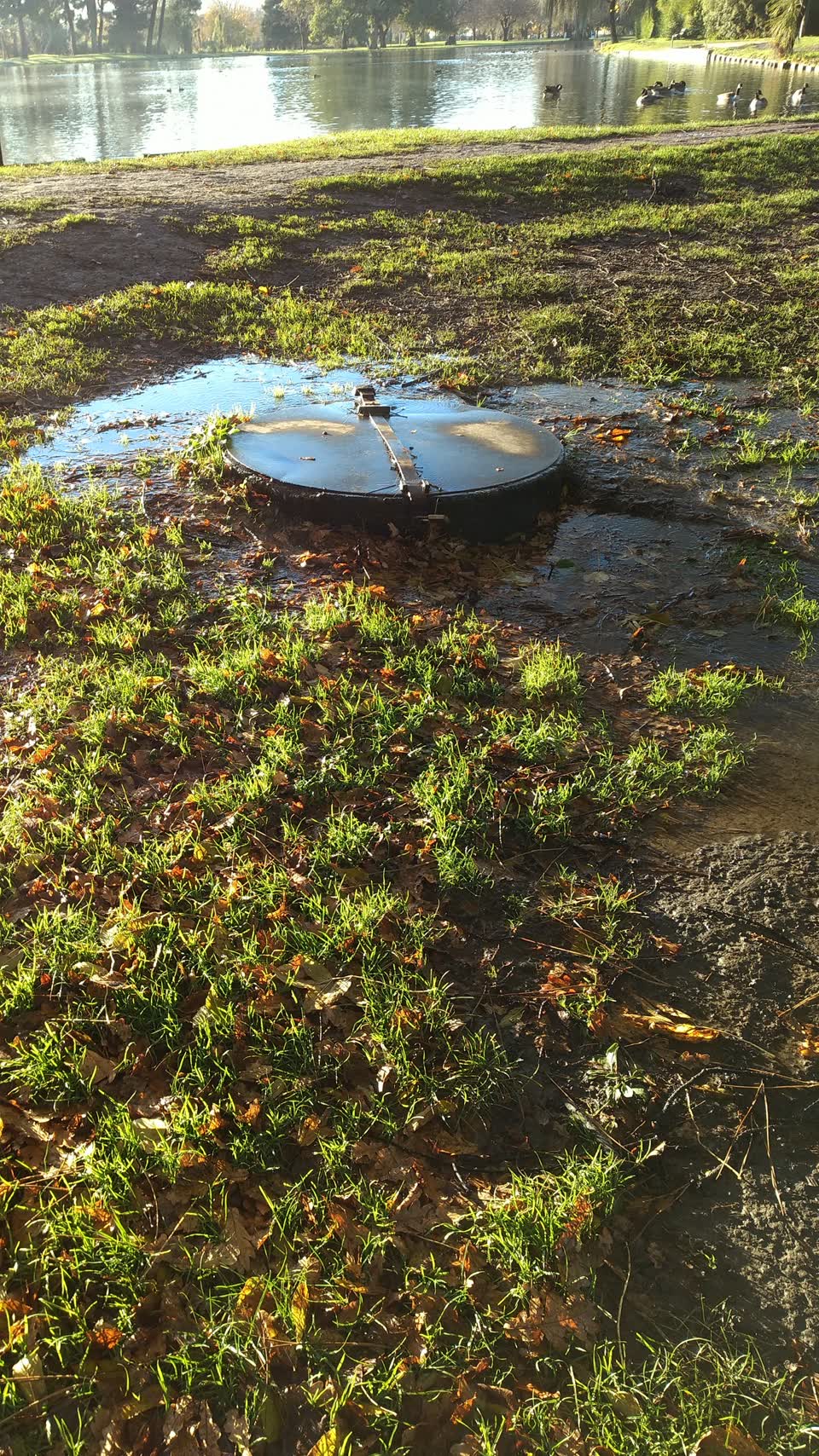 The photograph attached to this parks report