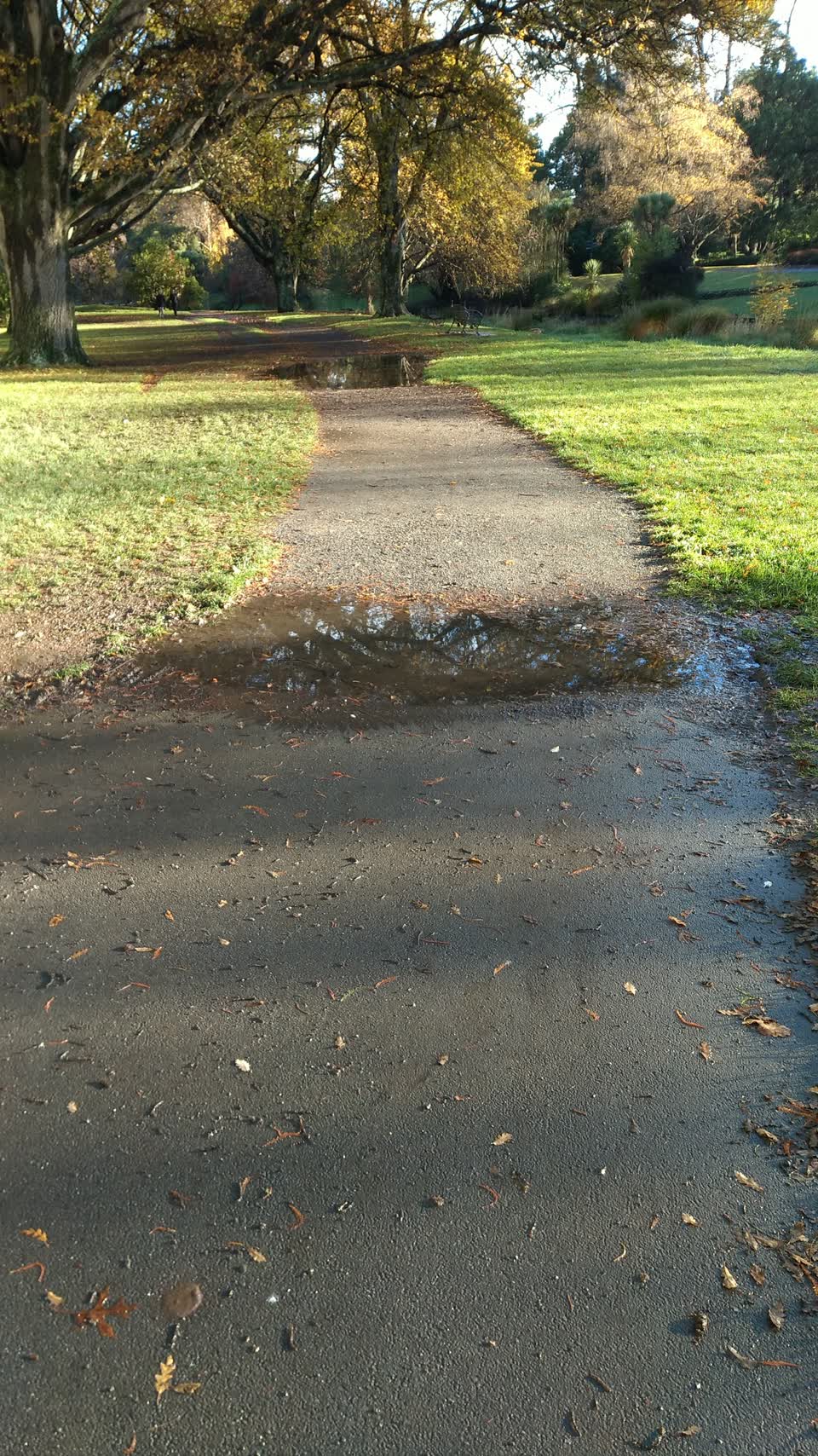 The photograph attached to this parks report