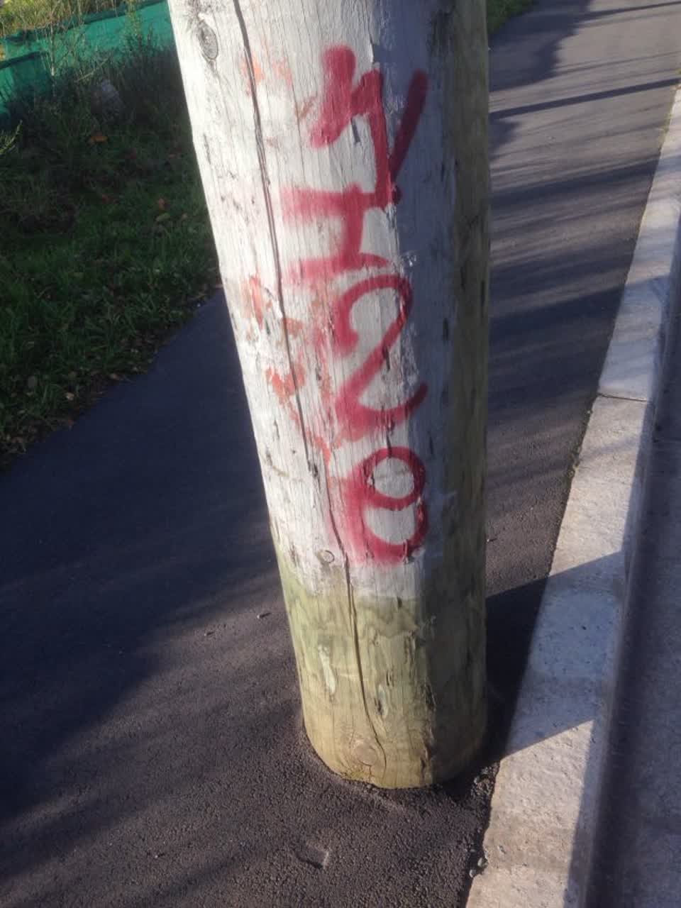 The photograph attached to this graffiti report