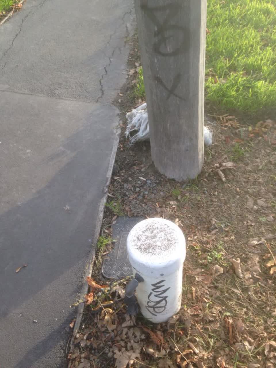 The photograph attached to this graffiti report