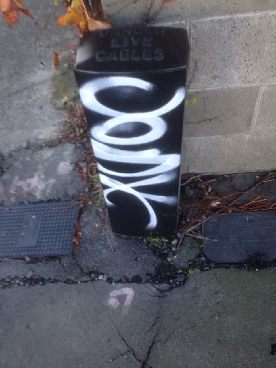 The photograph attached to this graffiti report