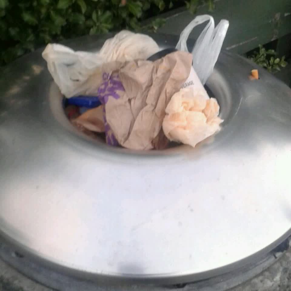 The photograph attached to this rubbish/recycling report