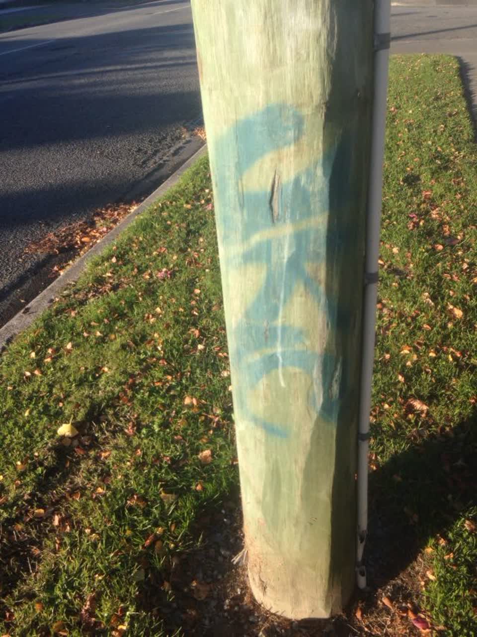 The photograph attached to this graffiti report