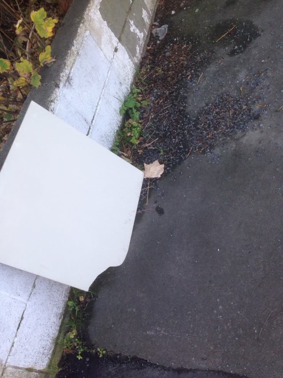 The photograph attached to this rubbish/recycling report