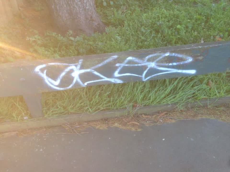 The photograph attached to this graffiti report