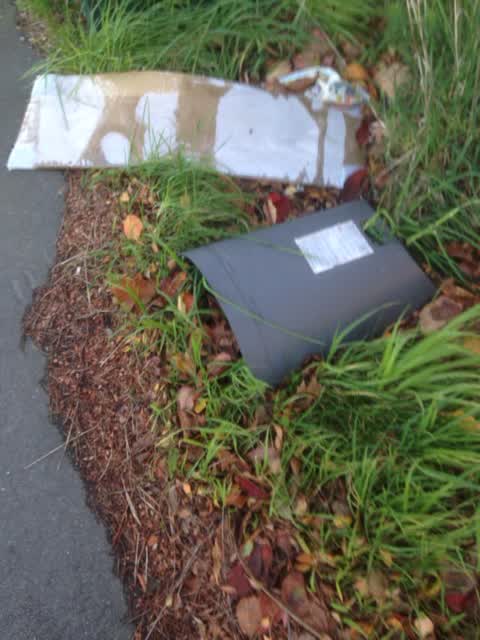 Rubbish/Recycling, a report photo