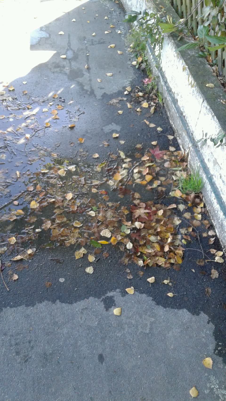 The photograph attached to this water supply report