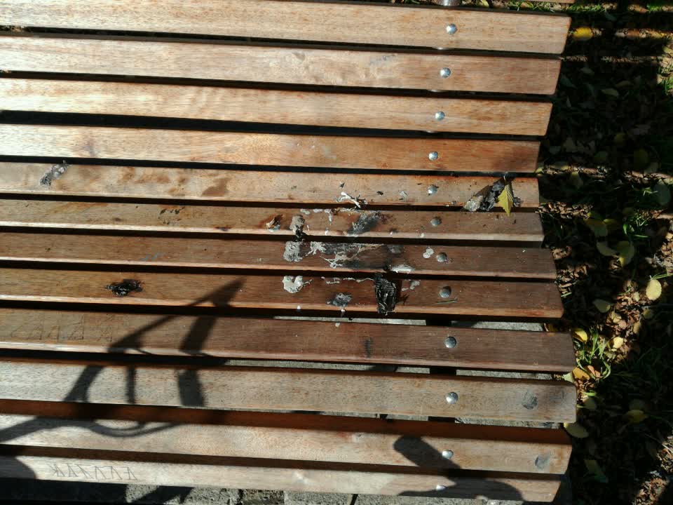 The photograph attached to this parks report