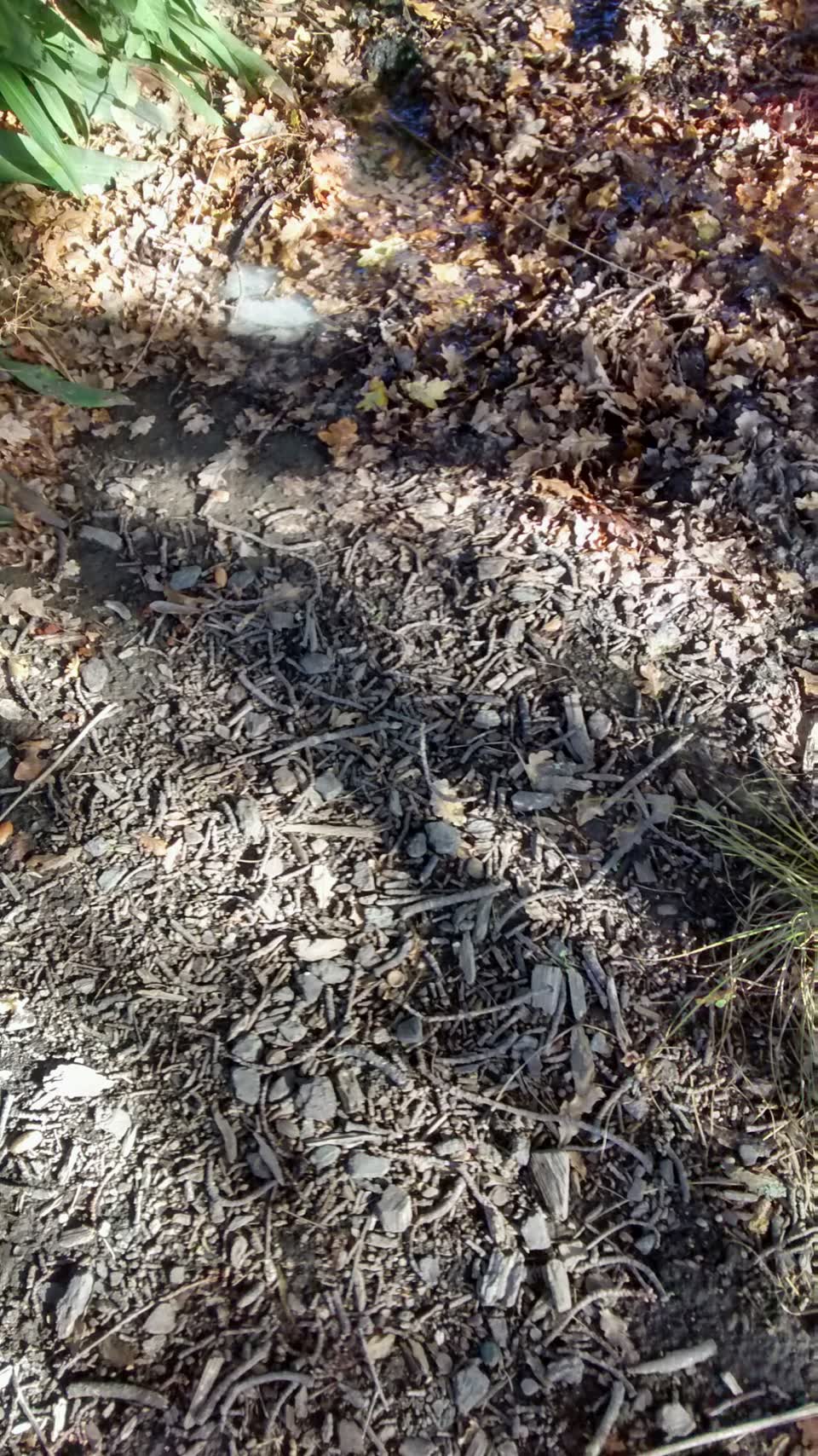 The photograph attached to this water supply report