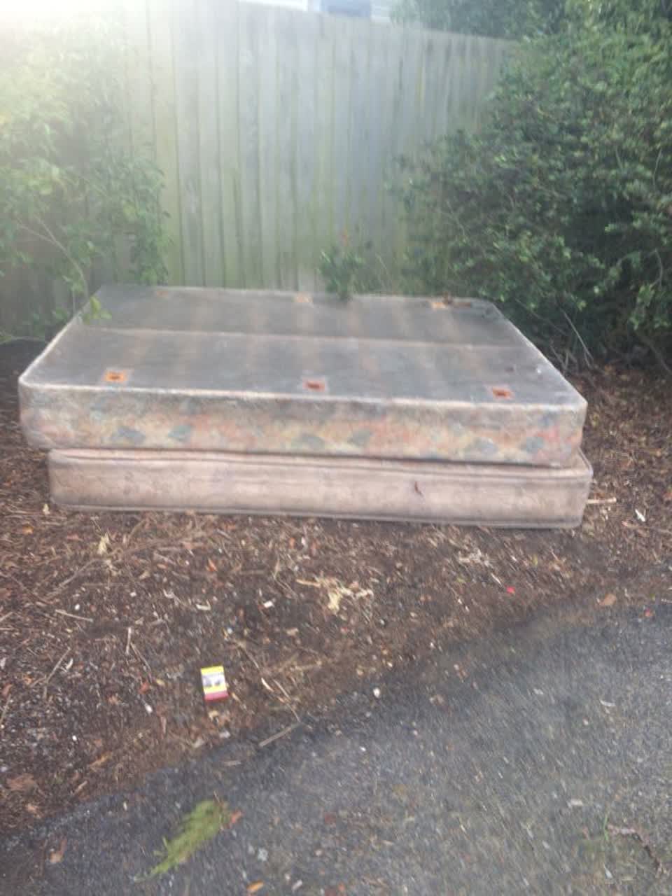 The photograph attached to this parks report