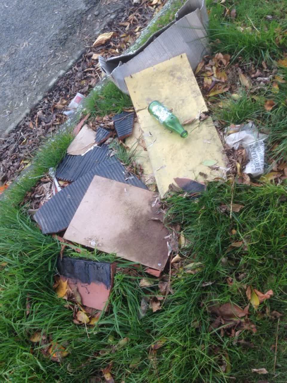 The photograph attached to this rubbish/recycling report