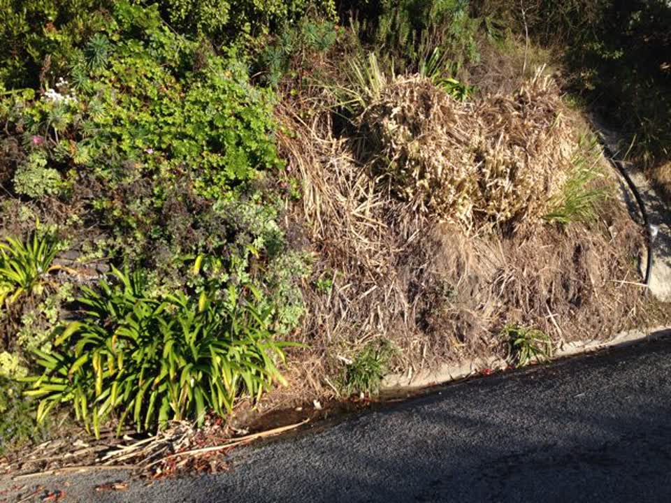 The photograph attached to this wastewater/stormwater report