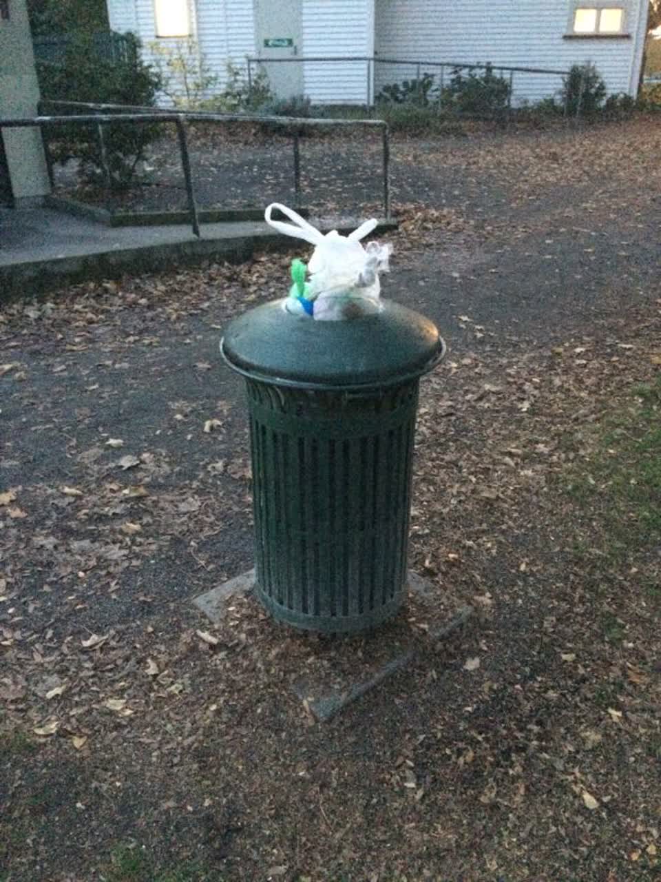The photograph attached to this rubbish/recycling report