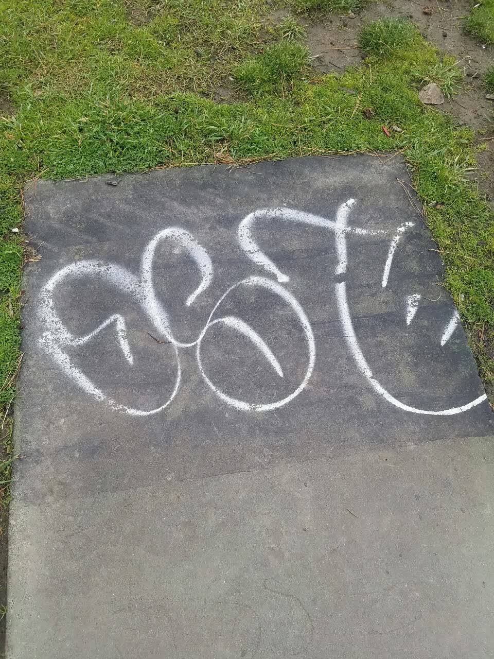 The photograph attached to this graffiti report