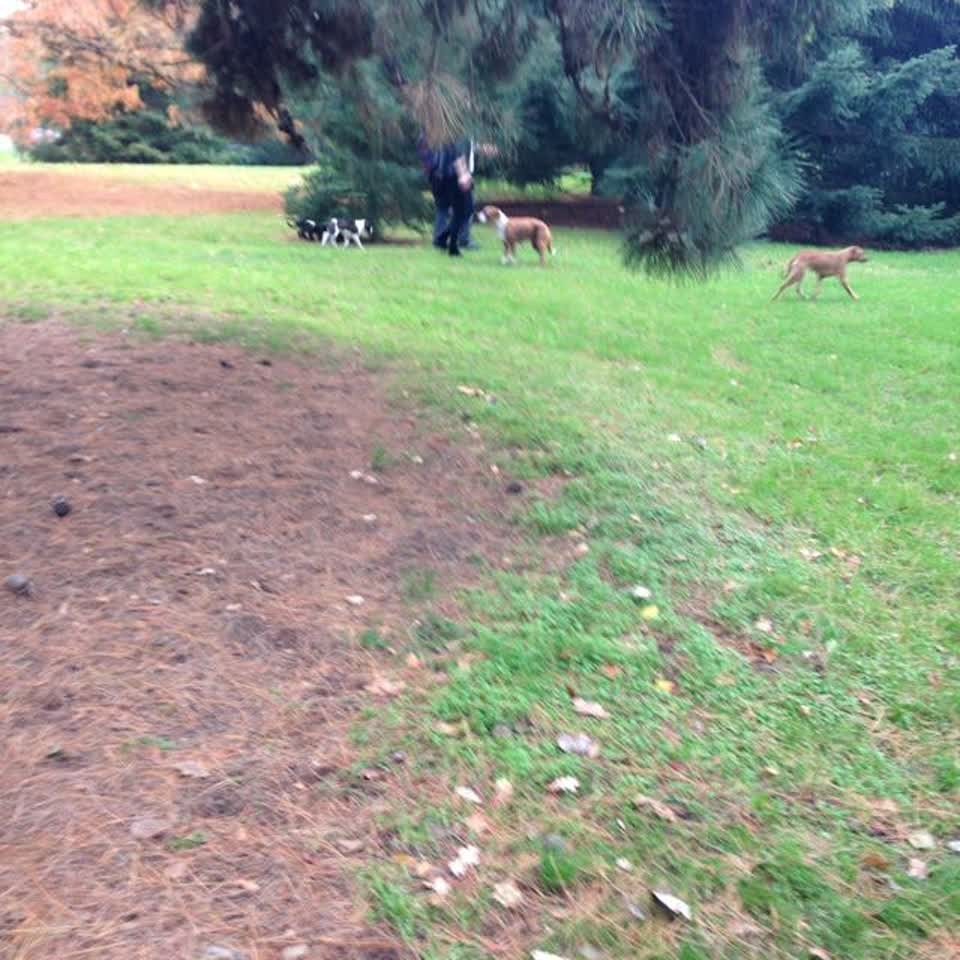 The photograph attached to this parks report