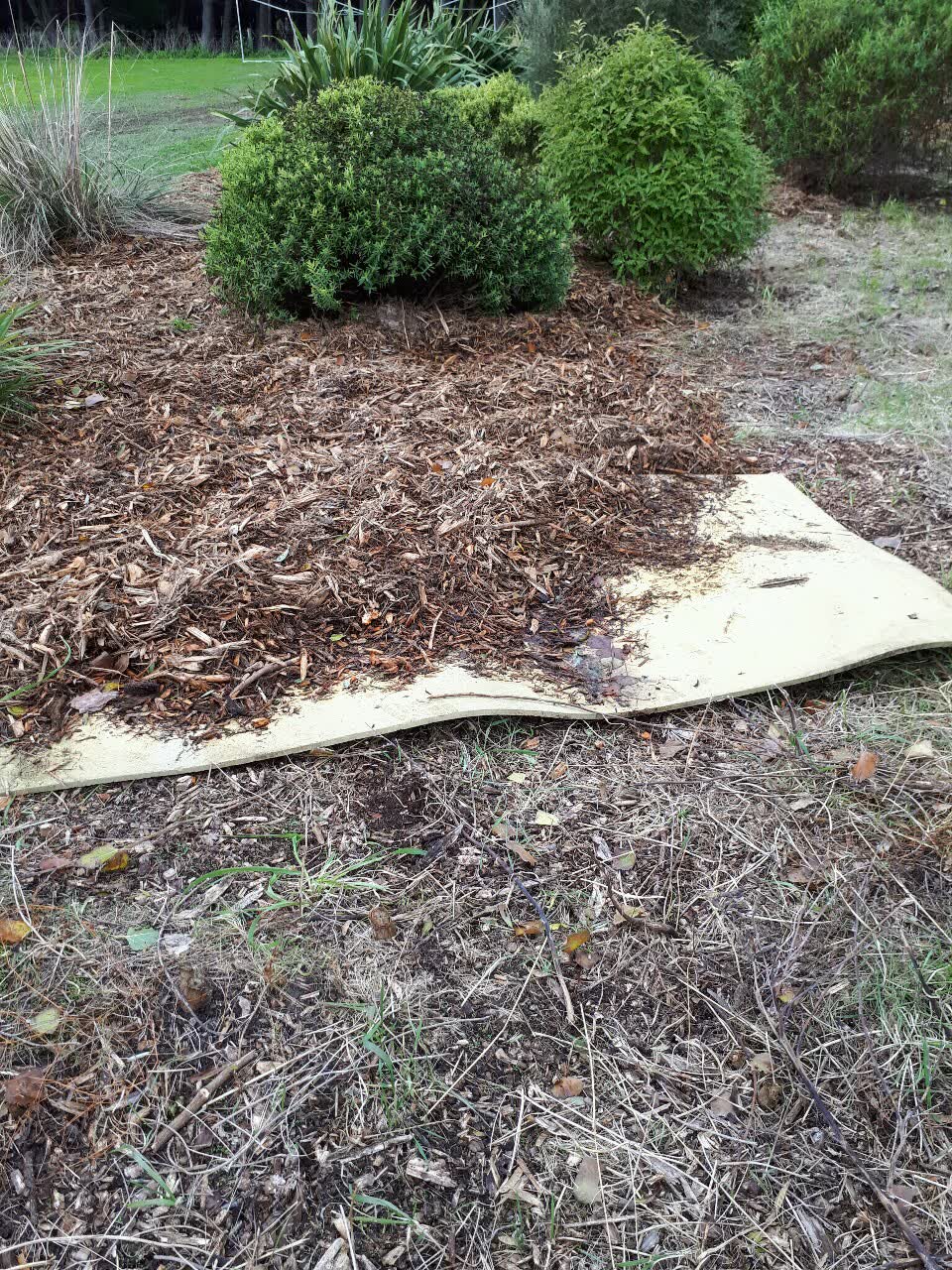 The photograph attached to this parks report