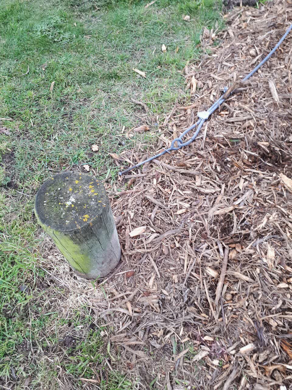 The photograph attached to this parks report