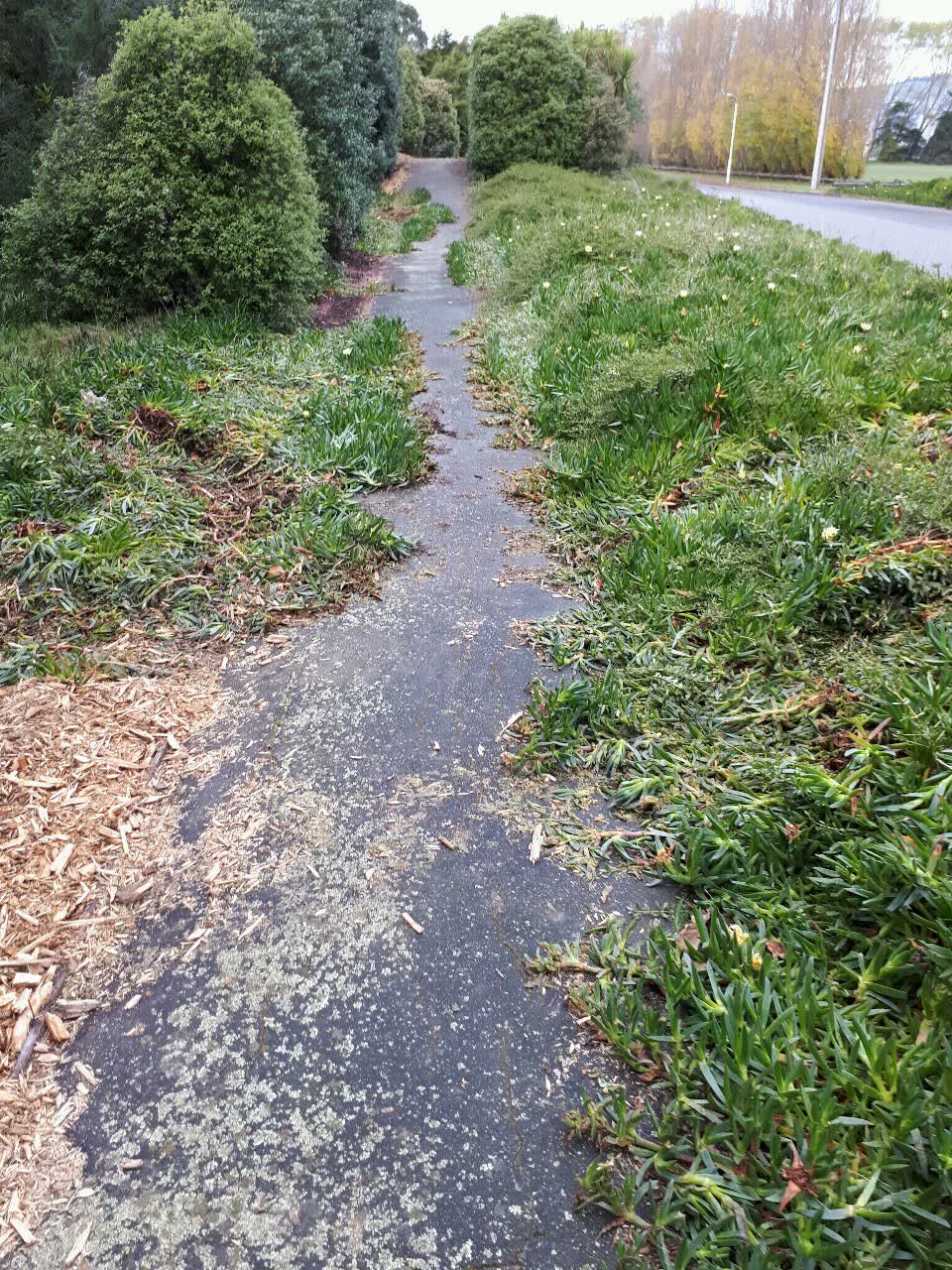 The photograph attached to this parks report