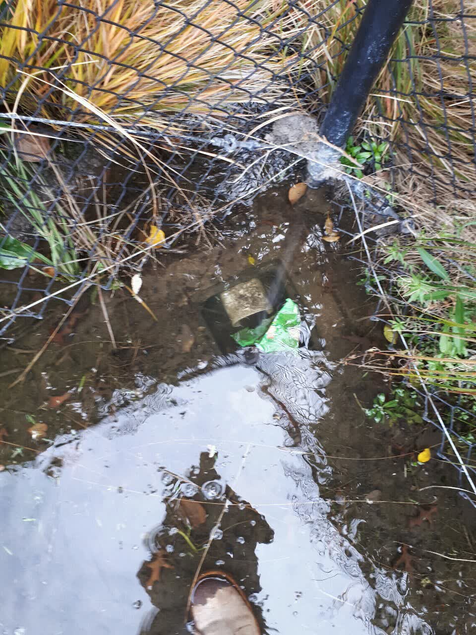 The photograph attached to this parks report