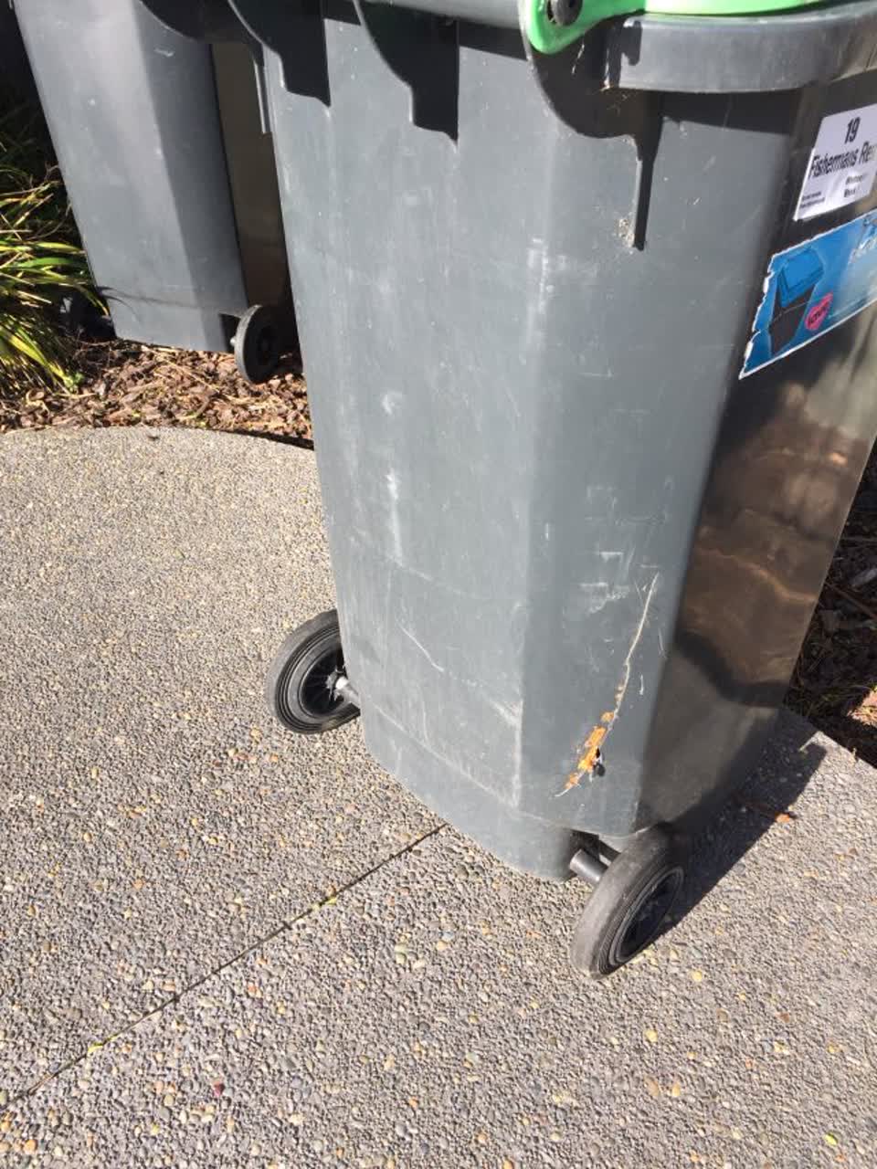 The photograph attached to this rubbish/recycling report