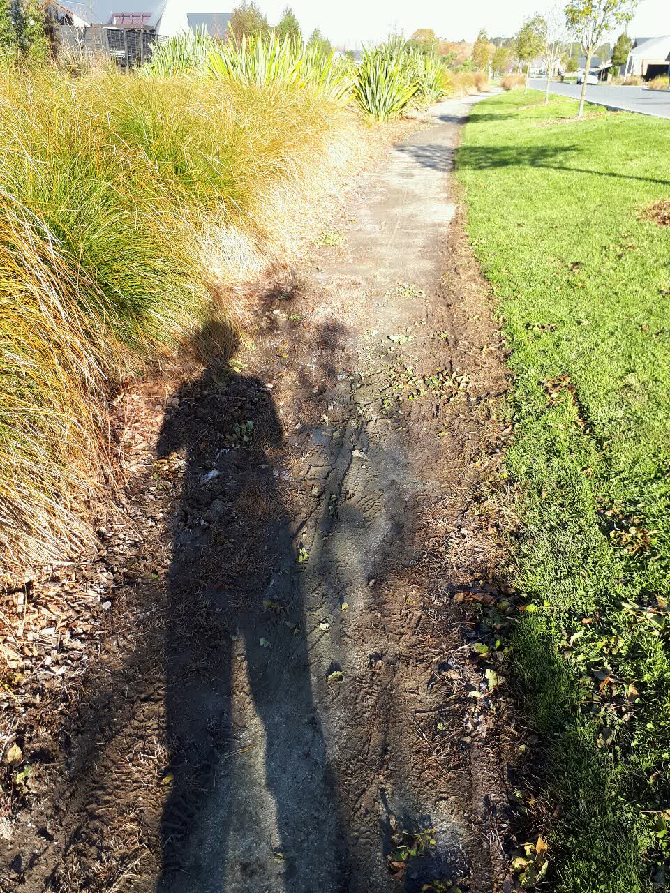 The photograph attached to this parks report