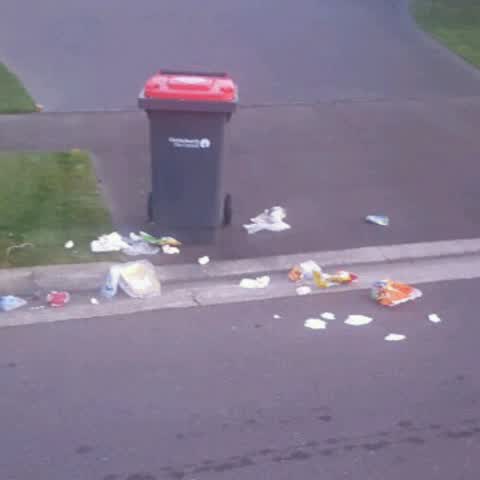 Rubbish/Recycling, a report photo