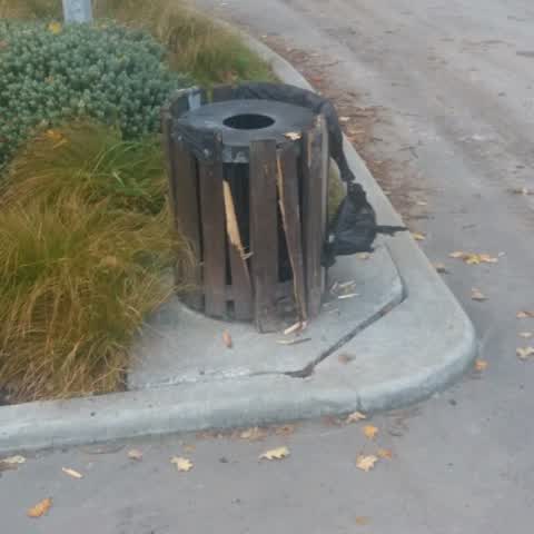 Parks, a report photo