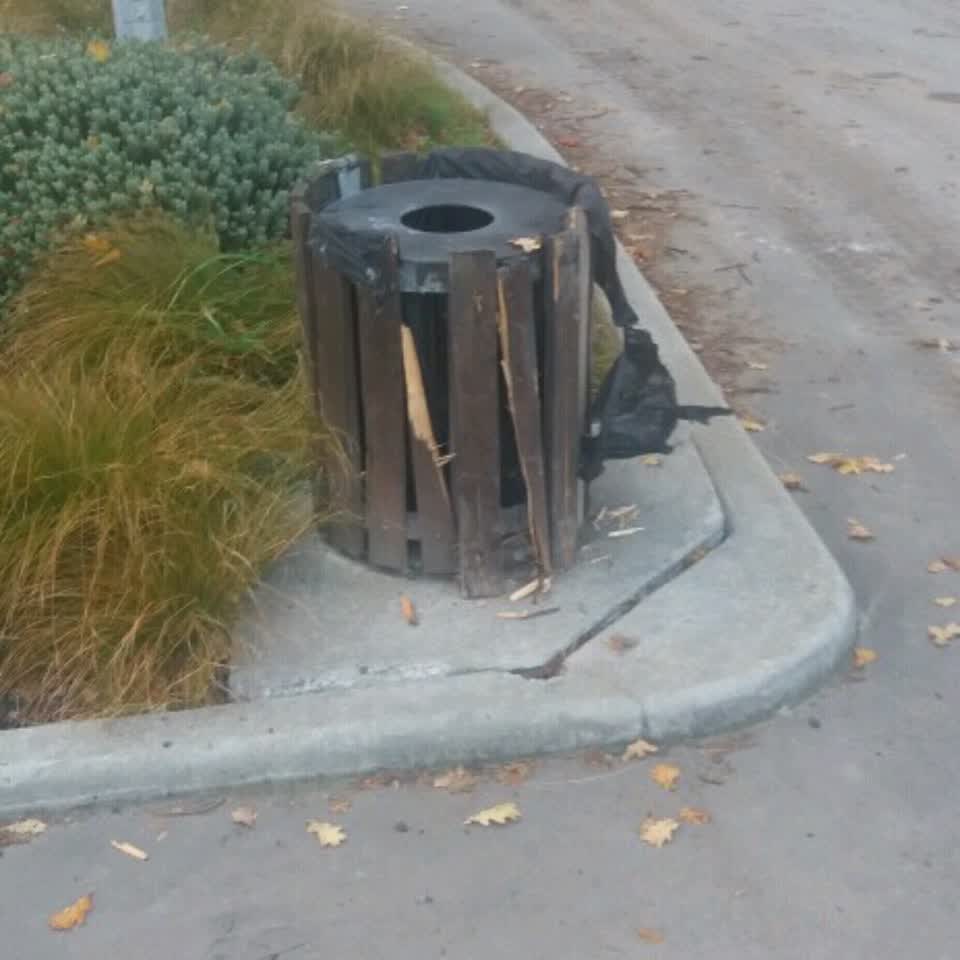 The photograph attached to this parks report