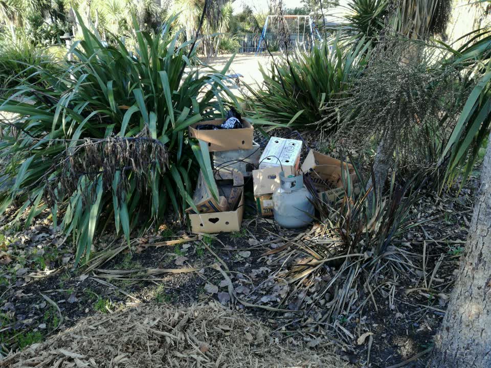 The photograph attached to this parks report