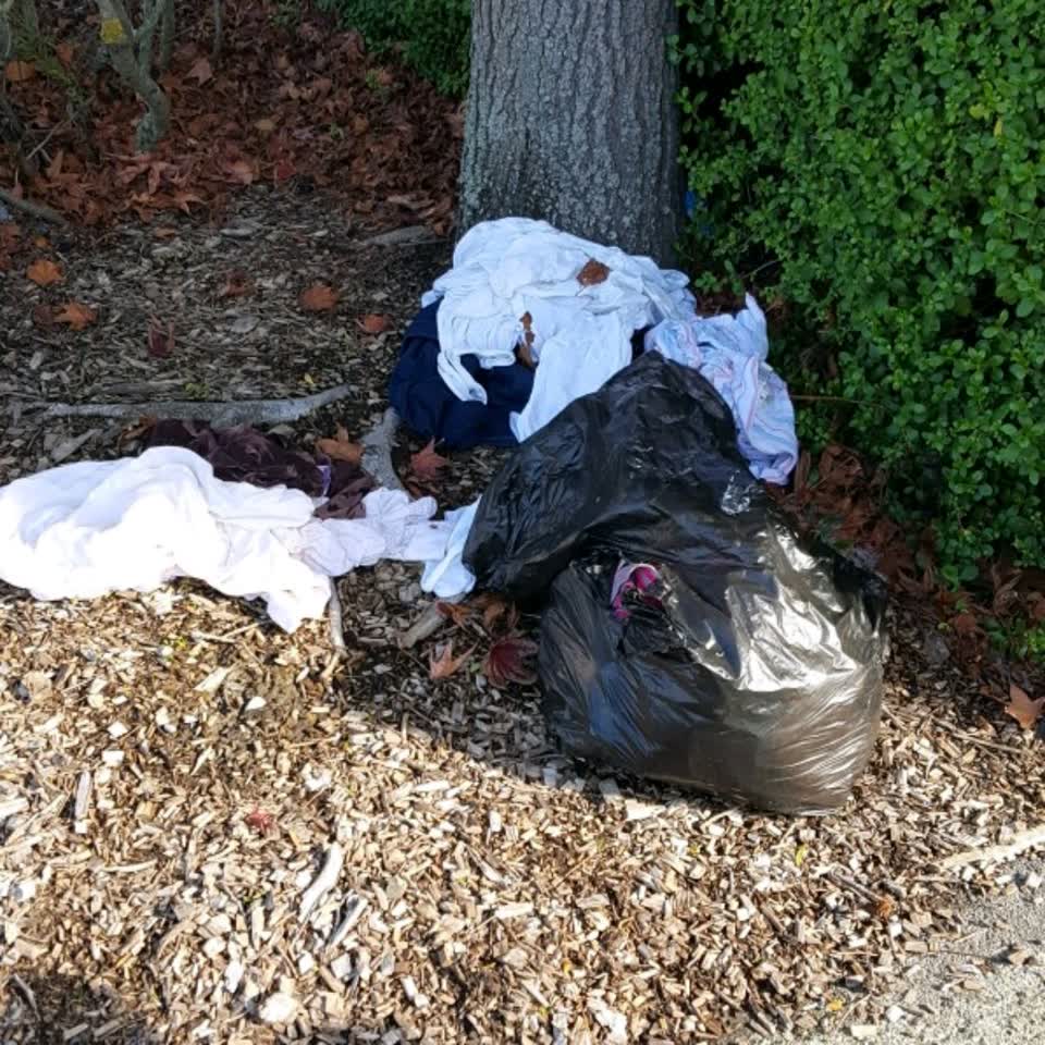 The photograph attached to this rubbish/recycling report