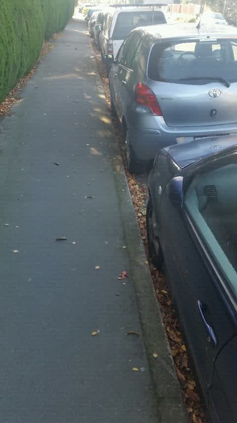 Roading/Streets, a report photo