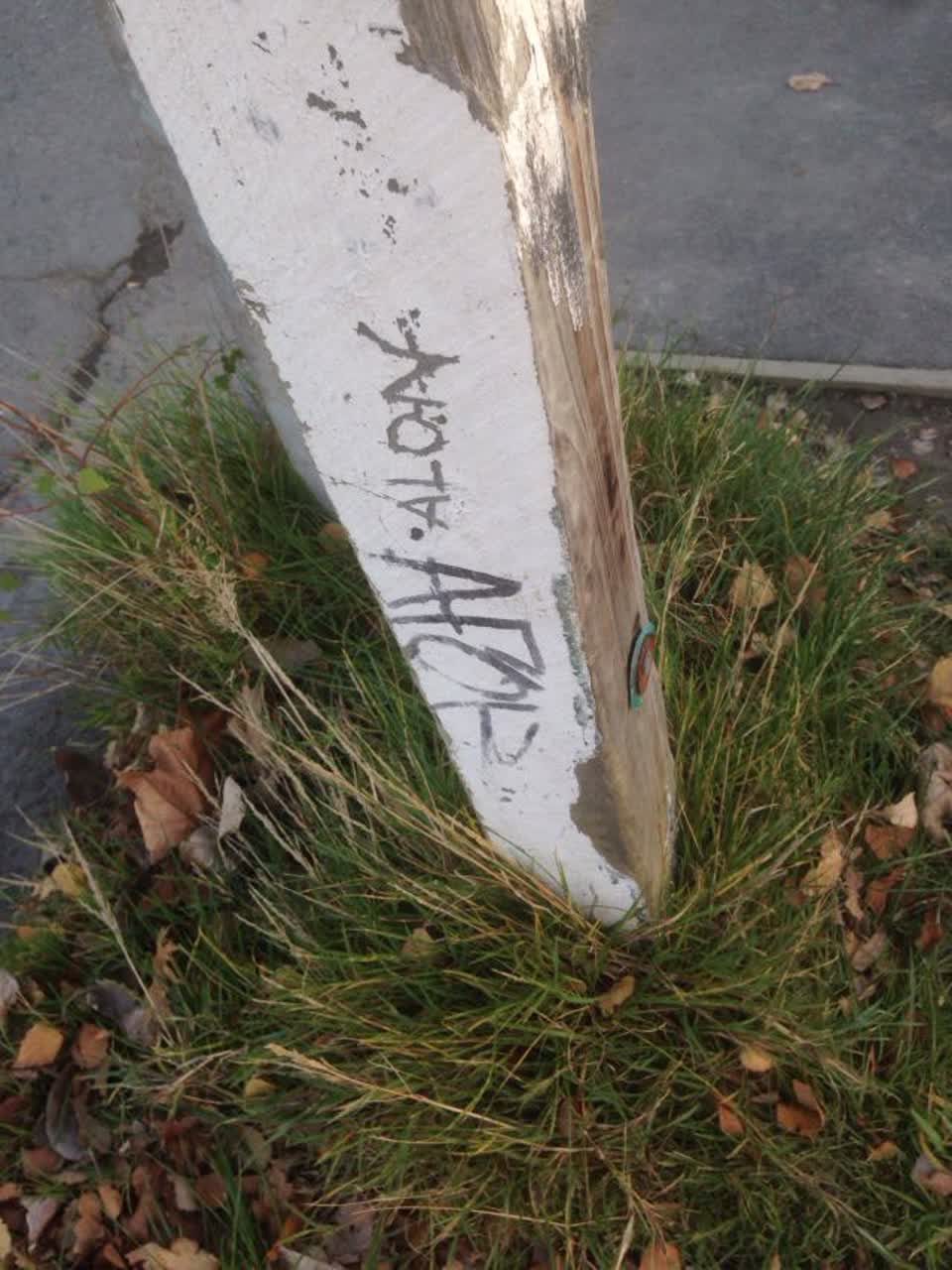 The photograph attached to this graffiti report