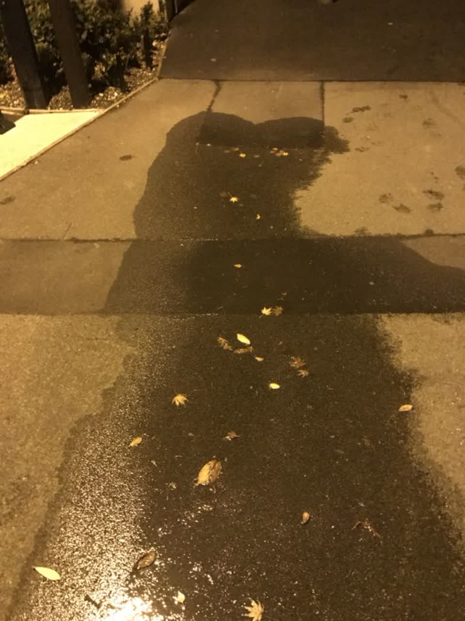 The photograph attached to this water supply report
