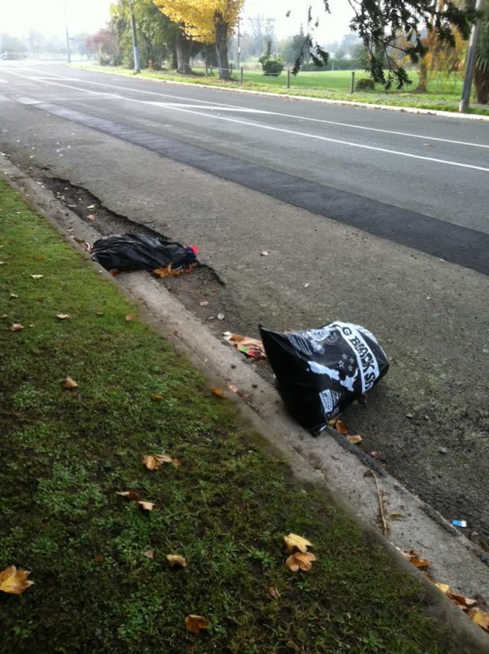 The photograph attached to this rubbish/recycling report