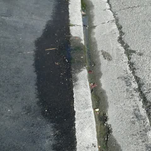 Wastewater/Stormwater, a report photo