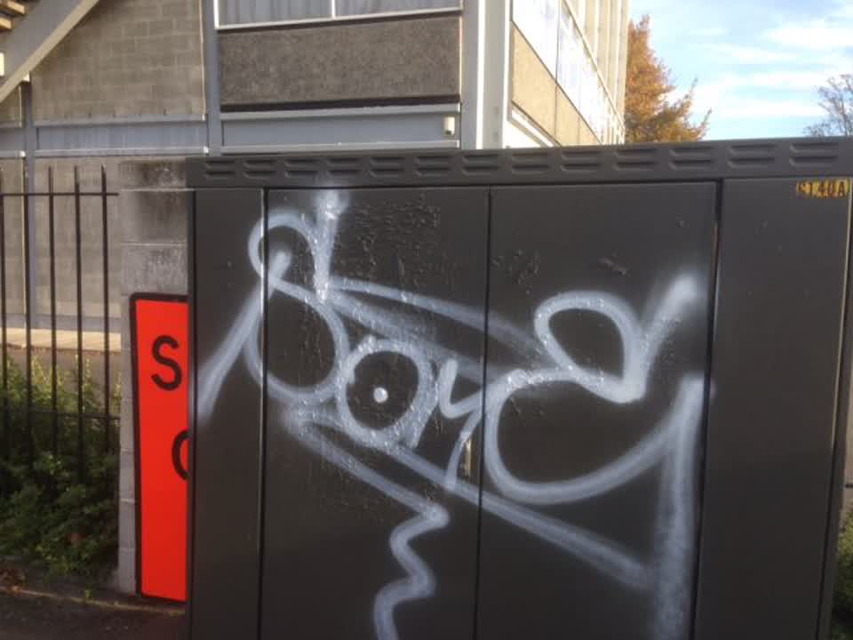 The photograph attached to this graffiti report